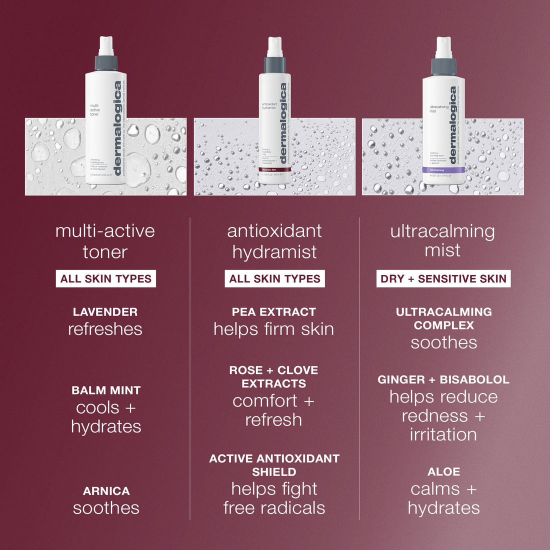 Antioxidant Hydramist